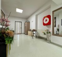 Gewerbeflächen mit Blumendekoration, großem Spiegel und Sicherheitseinrichtungen.