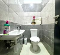 Badezimmer in Geschäftsräumen mit WC, Waschbecken und dekorativer Pflanze auf dem Regal.