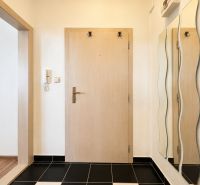 Eingangsbereich in einer Einzimmerwohnung mit schwarzem Boden und welligem Spiegel.