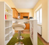 Küche mit Holzdekor in einer Einzimmerwohnung, Bartresen und grünem Teppich.
