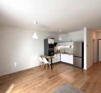 Küche in einer 2-Zimmer-Wohnung mit weißen Schränken und einem Boden in Holzoptik.