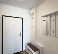 Eingangsflur mit weißen Türen, Spiegel und Boden in Holzoptik.