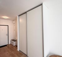 Eingangsbereich einer Zweizimmerwohnung mit Holzboden und Einbauschrank.