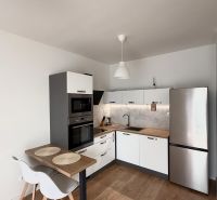 Küche in einer 2-Zimmer-Wohnung mit Eckküche und Boden in Holzoptik.