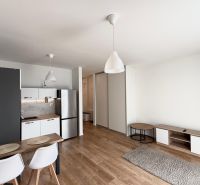 Wohnzimmer mit Küche, Esstisch und Holzboden in einer 2-Zimmer-Wohnung.