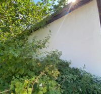Ein Einfamilienhaus in Brestovec, umgeben von dichtem Grün und mit weißer Fassade.