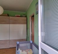 Ein Zimmer in einer 2-Zimmer-Wohnung mit einem großen Schrank, Holzelementen und grünen Wänden.