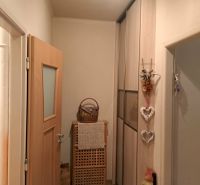 Eingangsflur mit Stauraum in einer 2-Zimmer-Wohnung, mit Holzelementen.