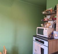 Küche in einer 2-Zimmer-Wohnung mit Mikrowelle und offenen Regalen.