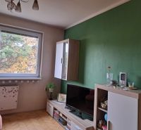 Wohnzimmer mit Holzdekor, Fernseher und grüner Wand in einer Zweizimmerwohnung.