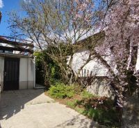 Das Einfamilienhaus in der Ľ. Štúr-Straße in Veľký Krtíš mit Terrasse und blühender Sakura.