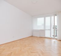Ein leerer Raum in einer 3-Zimmer-Wohnung mit Holzboden und einem großen Fenster.
