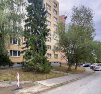 Benadová-Straße in Košice - Stadtteil Dargovských hrdinov mit Wohnhaus und Bäumen.