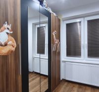 Schrank mit Tierdekoren im Einfamilienhaus, Holzboden, Heizkörper unter dem Fenster mit Rollläden.