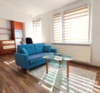 Helle 1-Zimmer-Wohnung mit blauem Sofa, Glastisch und Boden in Holzoptik.