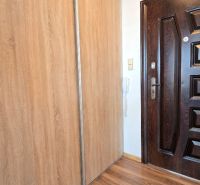 Eingangsbereich in einer Einzimmerwohnung mit Holzboden und Einbauschrank.