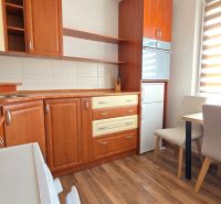 Eine Küche mit Holzboden, Esstisch und Holzküchenzeile in einer Einzimmerwohnung.