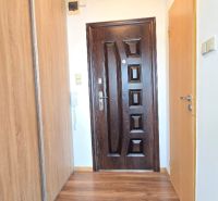 Eingangsbereich in einer Einzimmerwohnung mit Holzboden und einem Schrank.