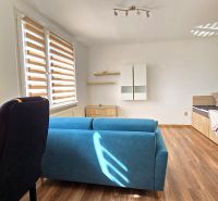 Einzimmerwohnung mit blauem Sofa, Bett und Boden in Holzoptik.