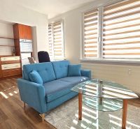 Einzimmerwohnung mit Sofa, Glastisch und Küche, Boden mit Holzdekor.