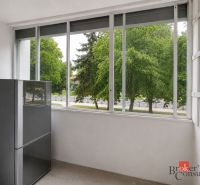 Eine verglaste Loggia mit Grünpflanzen vor dem Fenster in einer 4-Zimmer-Wohnung.