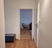 Flur in einer 2-Zimmer-Wohnung mit Holzboden und Blick ins Wohnzimmer.