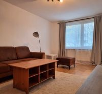 Wohnzimmer in einer 2-Zimmer-Wohnung mit Holzboden, braunem Sofa und Couchtisch.