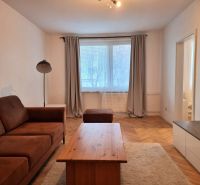 Wohnzimmer in einer Zweizimmerwohnung mit Sofa, Tisch und Boden in Holzoptik.