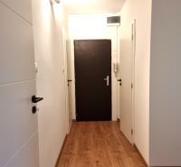 Der Flur in einer 2-Zimmer-Wohnung mit einem Boden in Holzoptik und weißen Türen.