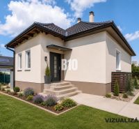 Ein Einfamilienhaus in Nitra mit Garten, Rasen und Zierpflanzen unter blauem Himmel.