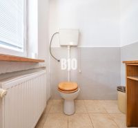 Toilette mit Fenster, Heizkörper und Stauraum in einem Einfamilienhaus.