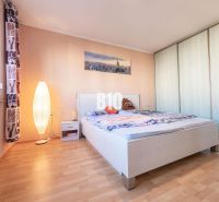 Schlafzimmer mit Holzboden, Bett und Schrank in einer Einzimmerwohnung.