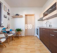 Die Küche in der Einzimmerwohnung mit einem Holzboden und modernen Möbeln.