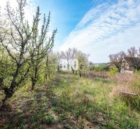 Grundstücke - Wohnen in Nitra mit blühenden Bäumen unter dem Frühlingshimmel.