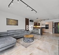Wohnzimmer in einem Einfamilienhaus mit bequemer Couch, Küche und Boden in Holzoptik.