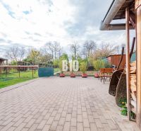 Der Hof eines Einfamilienhauses in Nitra mit einer gepflasterten Terrasse, Grünflächen und einem Holzschuppen.