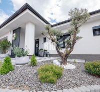 Einfamilienhaus in Nitra mit gepflegtem Garten, Ziersträuchern und Steindesign.