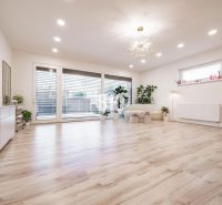Helles Wohnzimmer mit Holzdekorboden, großen Fenstern und Pflanzen.