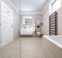 Ein geräumiges Badezimmer in einem Einfamilienhaus mit einer eleganten Badewanne und einem modernen Waschbecken.