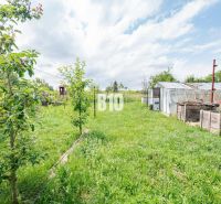 Der Garten des Einfamilienhauses in Nitra mit Obstbäumen und Gewächshäusern.