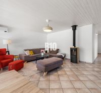 Wohnzimmer in einem Einfamilienhaus mit Kamin, rotem Sessel und grauem Sofa.