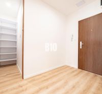 Eingangsflur einer 3-Zimmer-Wohnung mit Holzboden und Einbauschrank.