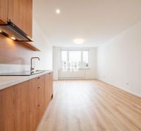 Küche in einer 3-Zimmer-Wohnung mit Holzboden, minimalistisches Design.