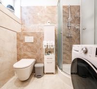 Kúpeľňa v rodinnom dome s práčkou, sprchovacím kútom a toaletou.

Badezimmer in einem Einfamilienhaus mit Waschmaschine, Dusche und Toilette.