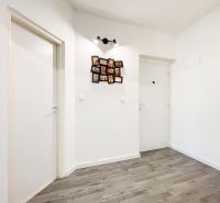 Der Flur in der 2-Zimmer-Wohnung mit einem Boden in Holzoptik und weißen Türen.