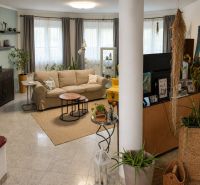 Wohnzimmer in einem Einfamilienhaus mit bequemen Sofa, Pflanzen und dekorativen Elementen.