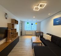 Wohnzimmer in einer 3-Zimmer-Wohnung mit Holzboden, bequemer Couch und Stauraum.