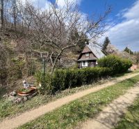 Ein Haus in Dolné Orešany in der Straße Dolné Orešany, umgeben von Bäumen im Frühling.