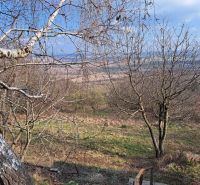 Der Garten bei der Hütte in Dolné Orešany mit Blick auf die Bäume und die Landschaft.