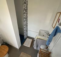 Badezimmer mit Toilette, Waschbecken und Dusche in einer Hütte mit einfachem Design.